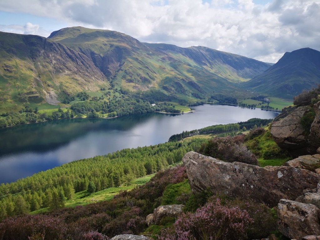 UNADJUSTEDNONRAW_thumb_d187