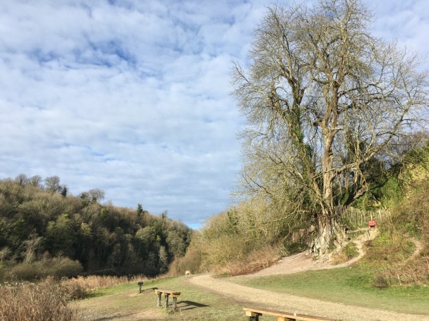 UNADJUSTEDNONRAW_thumb_dab2