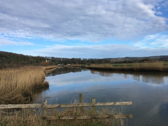 UNADJUSTEDNONRAW_thumb_dab6