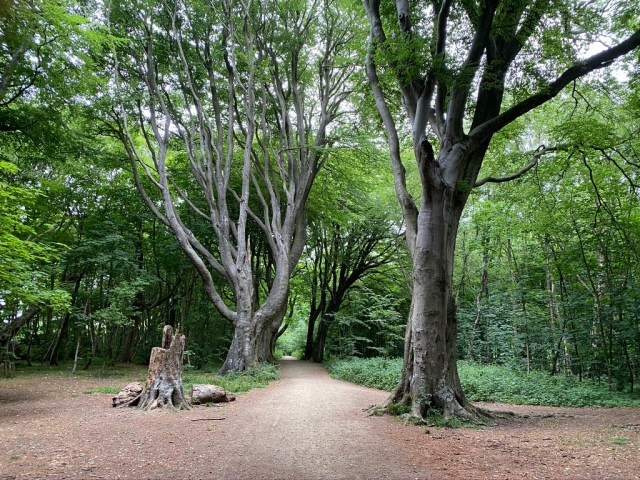 9B6AB680-C181-48DF-B027-E69A17AF91C1_1_105_c